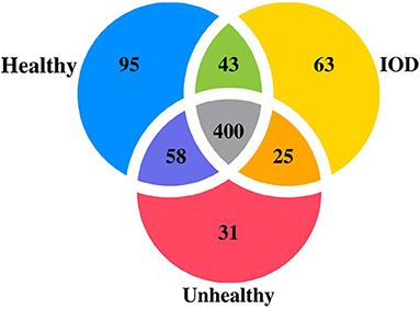 Rhinoceros Serum microRNAs: Identification, Characterization, and Evaluation of Potential Iron Overload Biomarkers